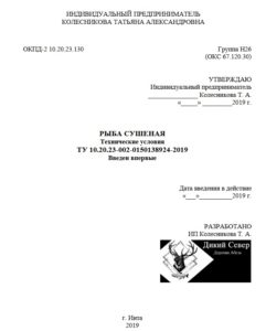 Как сделать самостоятельно технические условия?